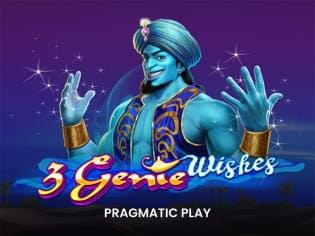 3 Genie Wishes icon